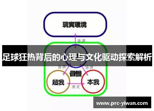 足球狂热背后的心理与文化驱动探索解析